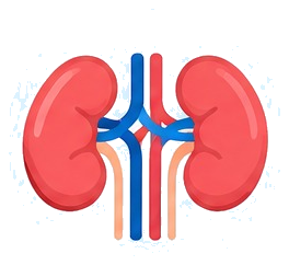 Nephrologist