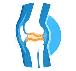 Orthopedic